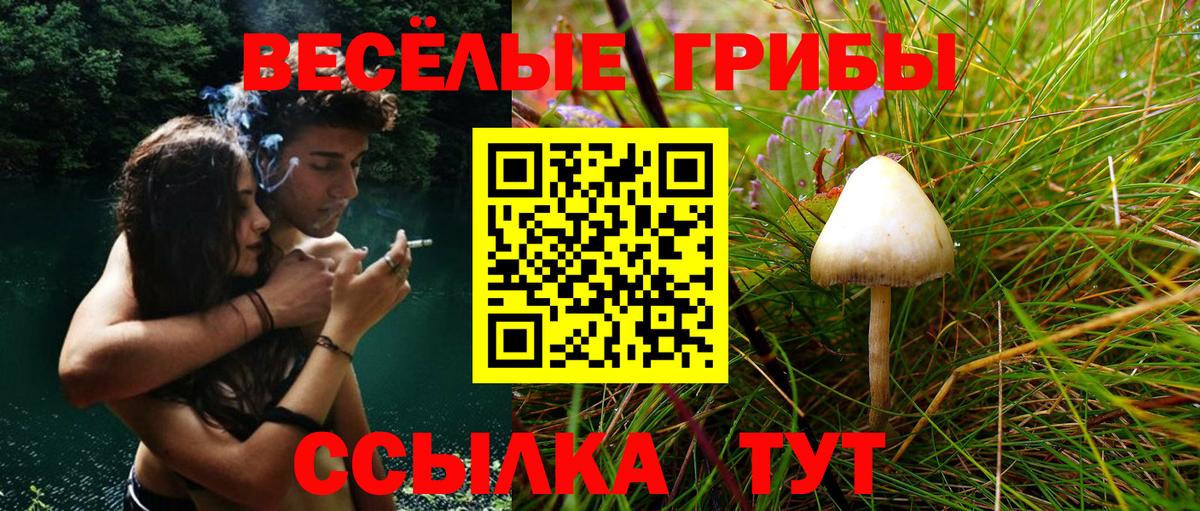 хочу наркоту  Галлюциногенные грибы MAGIC MUSHROOMS  Вход с VPN  Людиново  Псилоцибиновые грибы Cubensis 