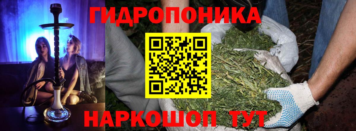 Канабис конопля Людиново